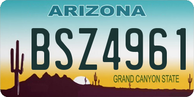 AZ license plate BSZ4961