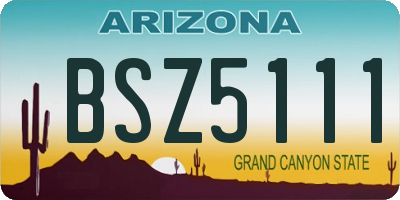 AZ license plate BSZ5111