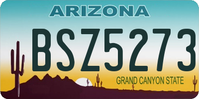 AZ license plate BSZ5273