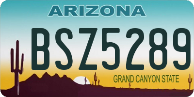 AZ license plate BSZ5289