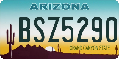 AZ license plate BSZ5290