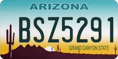 AZ license plate BSZ5291