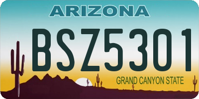 AZ license plate BSZ5301