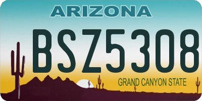 AZ license plate BSZ5308