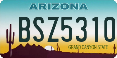 AZ license plate BSZ5310