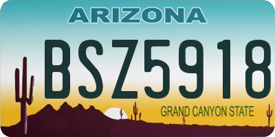 AZ license plate BSZ5918