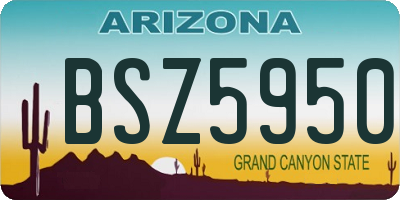 AZ license plate BSZ5950