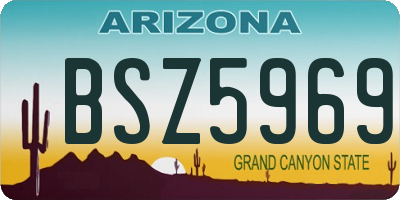 AZ license plate BSZ5969