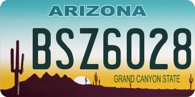 AZ license plate BSZ6028