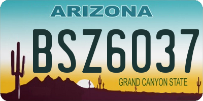 AZ license plate BSZ6037