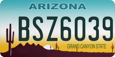 AZ license plate BSZ6039