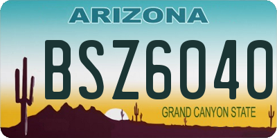 AZ license plate BSZ6040