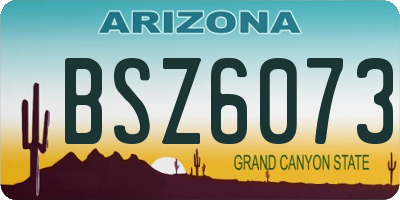 AZ license plate BSZ6073