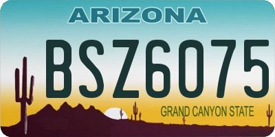 AZ license plate BSZ6075