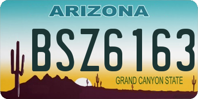 AZ license plate BSZ6163