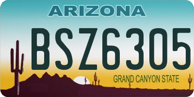 AZ license plate BSZ6305