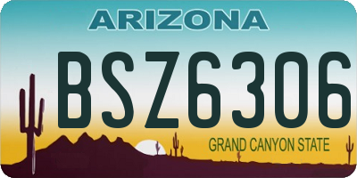 AZ license plate BSZ6306