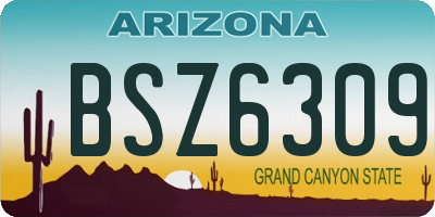 AZ license plate BSZ6309