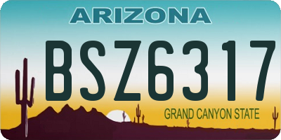 AZ license plate BSZ6317