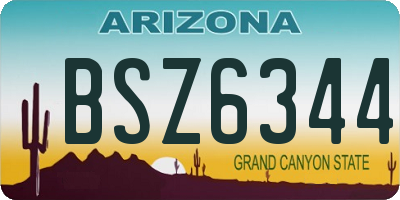 AZ license plate BSZ6344