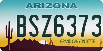 AZ license plate BSZ6373