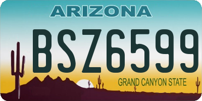 AZ license plate BSZ6599