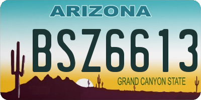 AZ license plate BSZ6613