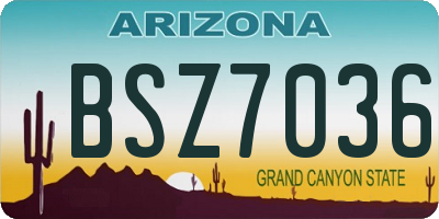 AZ license plate BSZ7036