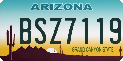 AZ license plate BSZ7119