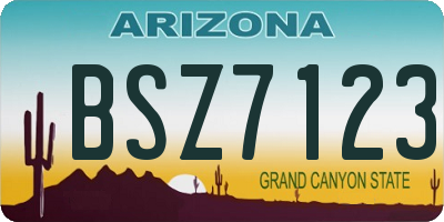 AZ license plate BSZ7123