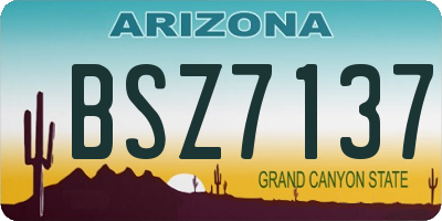 AZ license plate BSZ7137