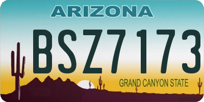 AZ license plate BSZ7173