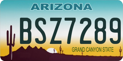 AZ license plate BSZ7289