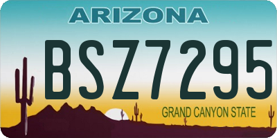 AZ license plate BSZ7295