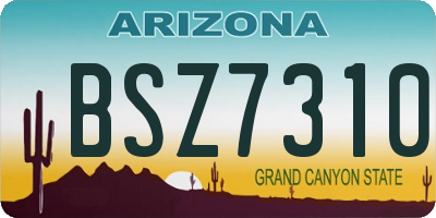 AZ license plate BSZ7310