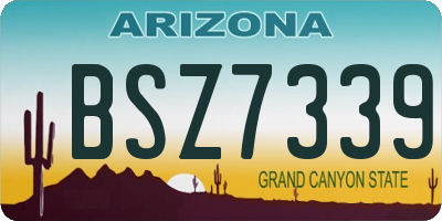 AZ license plate BSZ7339