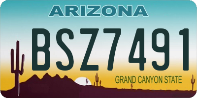 AZ license plate BSZ7491