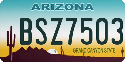 AZ license plate BSZ7503