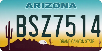 AZ license plate BSZ7514