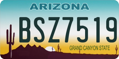 AZ license plate BSZ7519