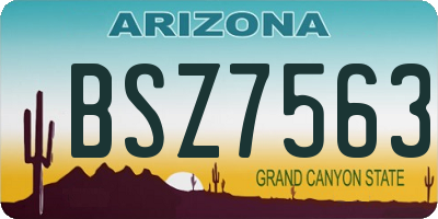 AZ license plate BSZ7563