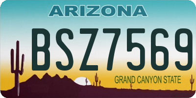 AZ license plate BSZ7569