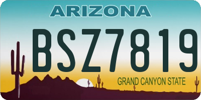 AZ license plate BSZ7819