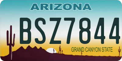 AZ license plate BSZ7844