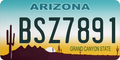 AZ license plate BSZ7891