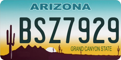 AZ license plate BSZ7929