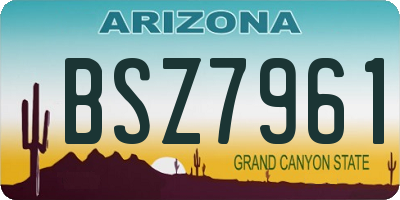 AZ license plate BSZ7961