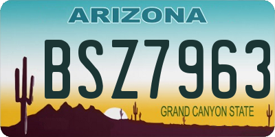 AZ license plate BSZ7963