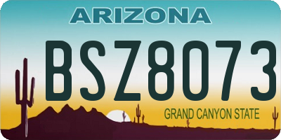 AZ license plate BSZ8073