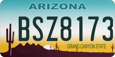 AZ license plate BSZ8173